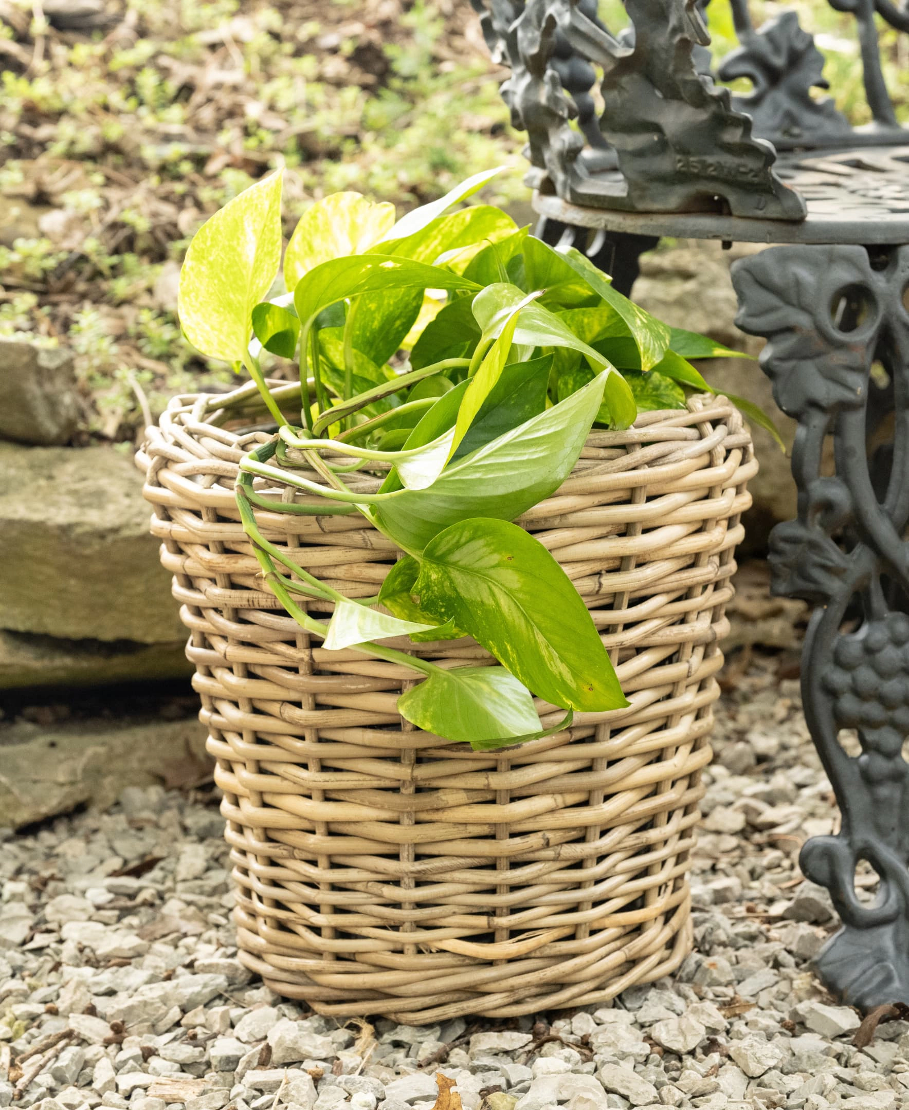 Saboga Home™ Round Planter with Plastic Insert
