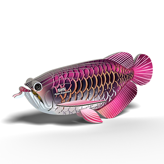 EUGY Asian Arowana 3D Puzzle - contains 24 puzzle pieces