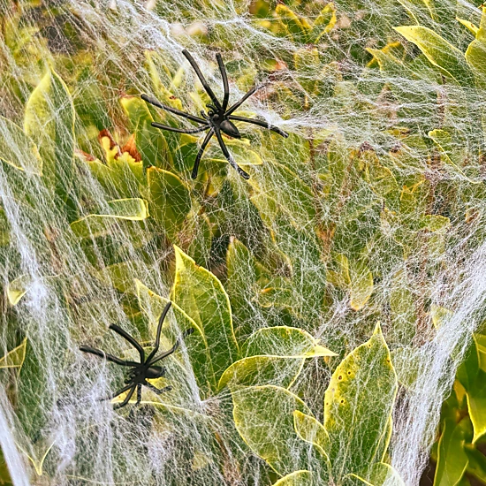 Wrapables Halloween Giant Spider Web Kit, 16ft Spider Web with Cobwebs ...