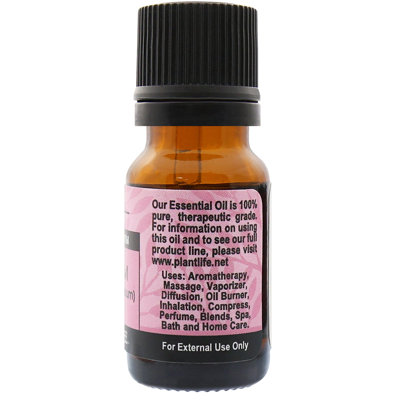Plantlife Cardamom Essential Oil