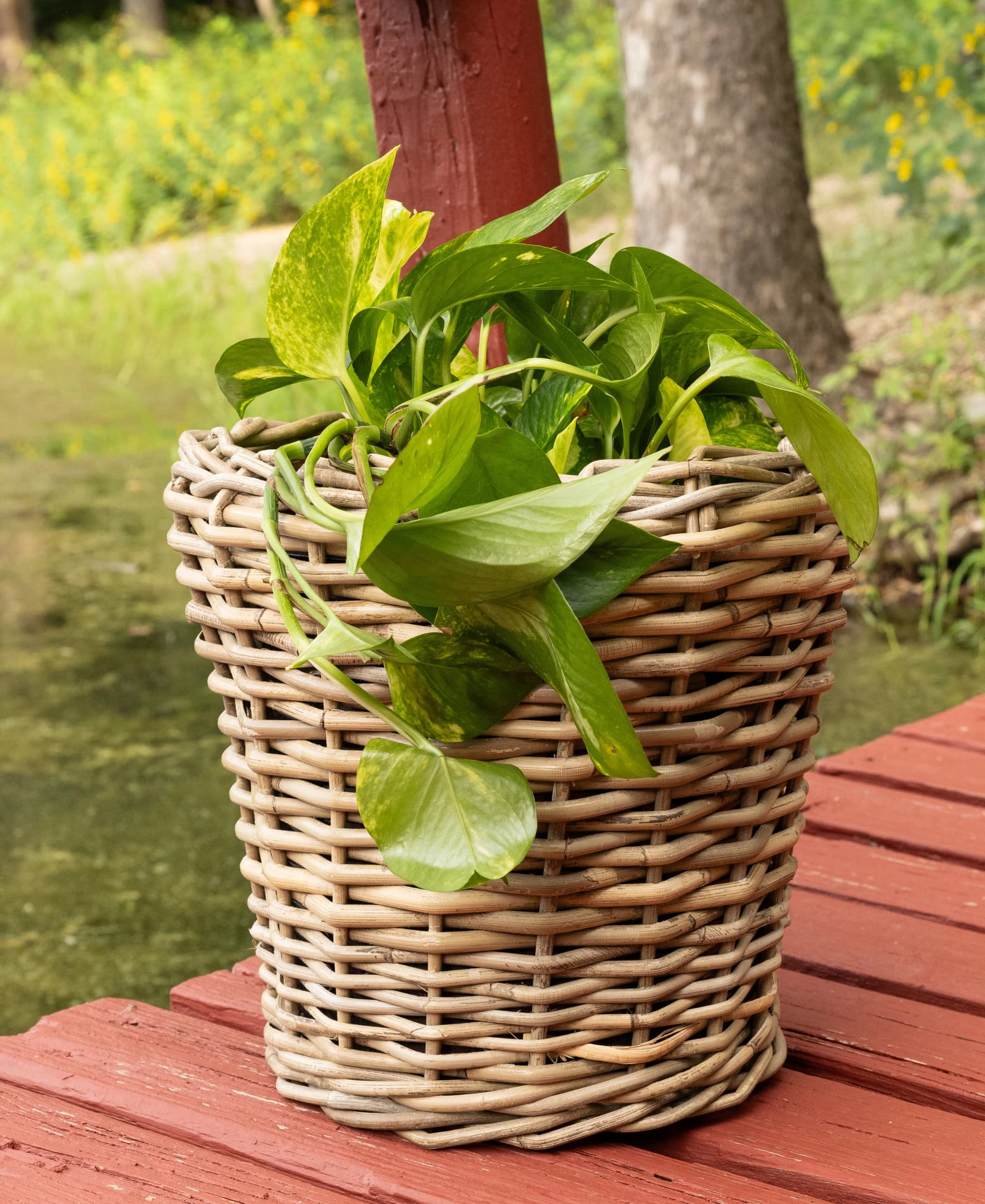 Saboga Home™ Round Planter with Plastic Insert