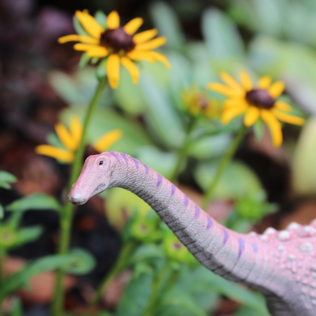 Safari Ltd. - Saltasaurus Kids Prehistoric/Dinosaur Toy Figure