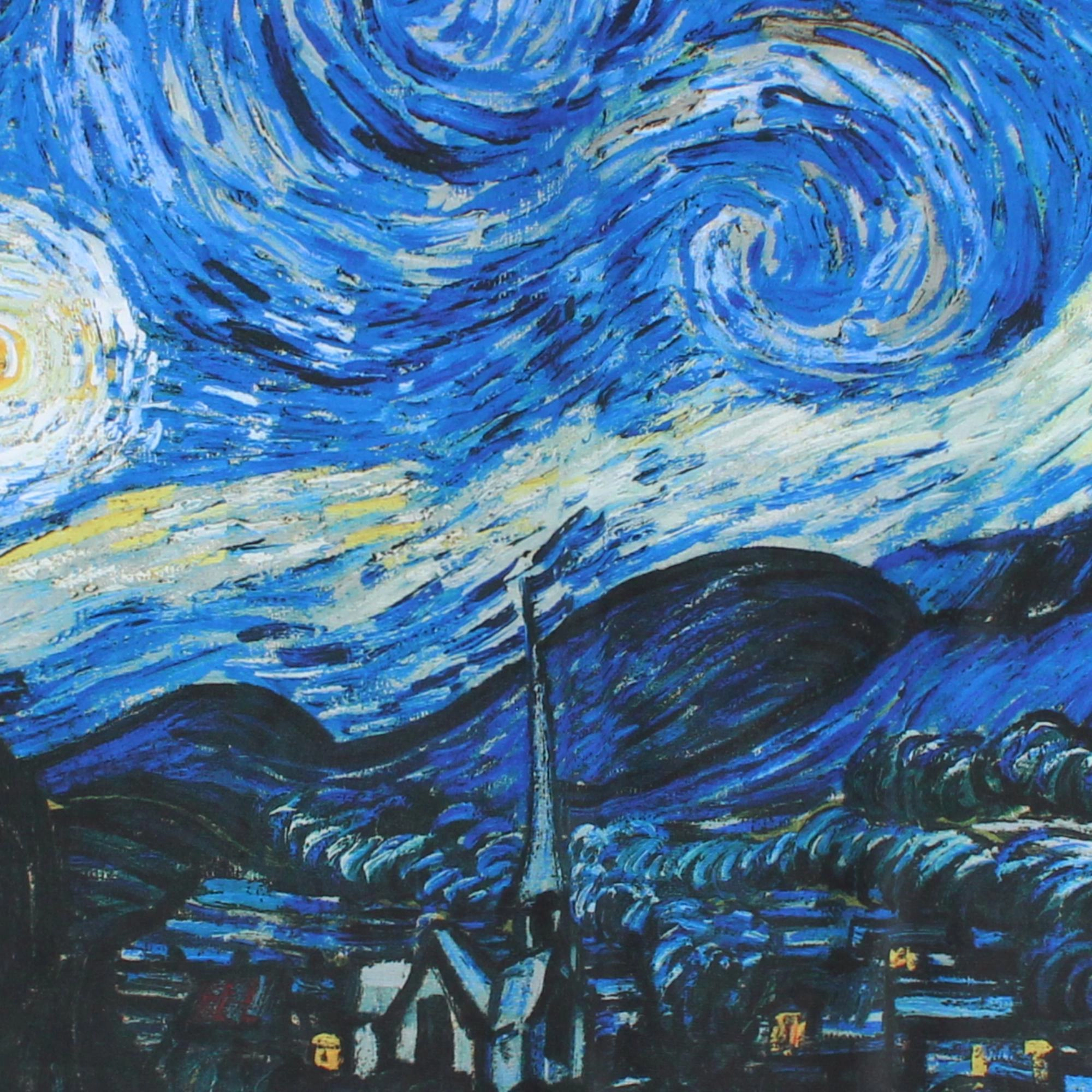 The Magic Scarf Company Women's Van Gogh Starry Night Print Silky Scarf