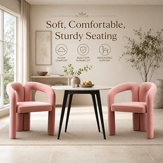 GOODSILO Comfortable Velvet Accent Chair Compact Seating, Set of 2