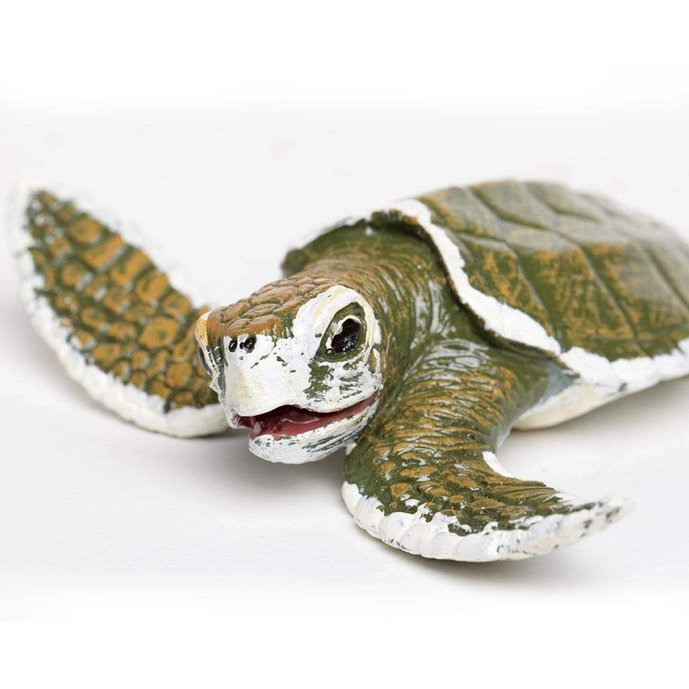 Safari Ltd. - Kemp's Ridley Sea Turtle Baby Kids Toy Figure