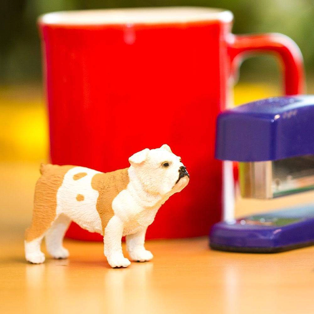 Safari Ltd. - Bulldog Kids Toy Figure