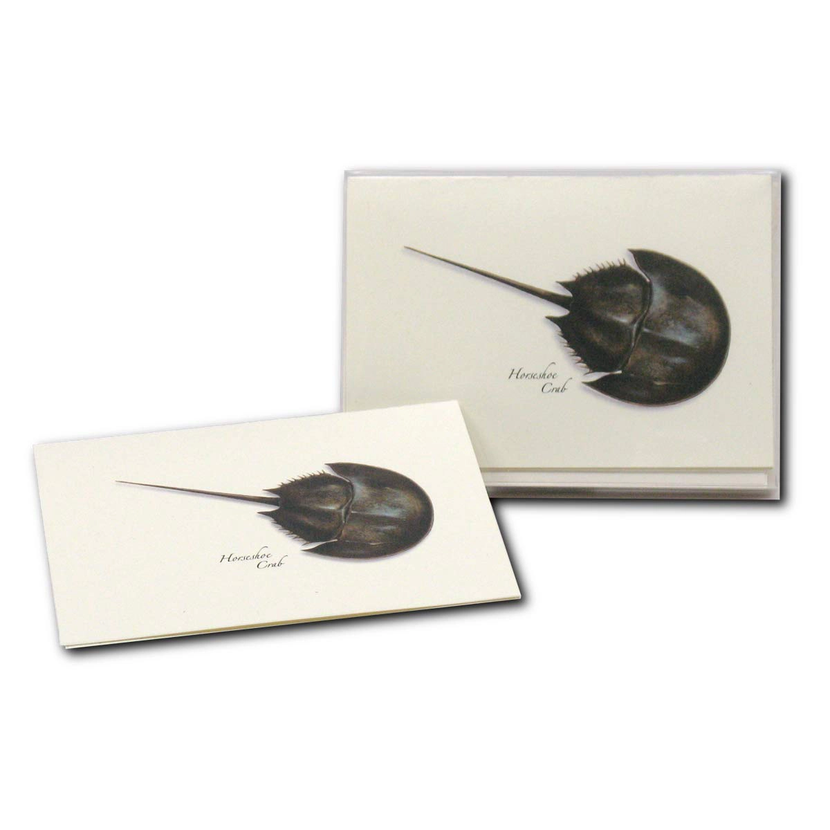 Earth Sky + Water Horseshoe Crab Notecard Set - 8 Blank Cards with Envelopes