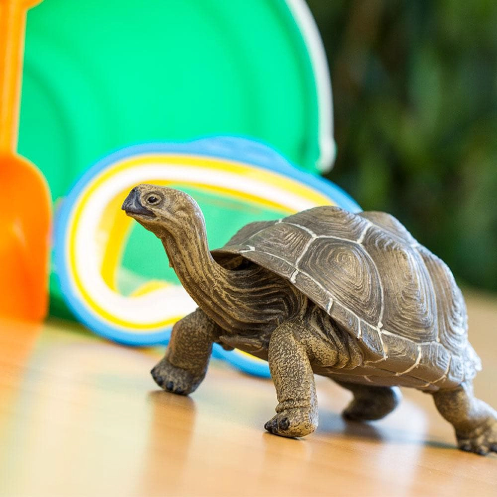Safari Ltd. - Tortoise Kids Toy Figure