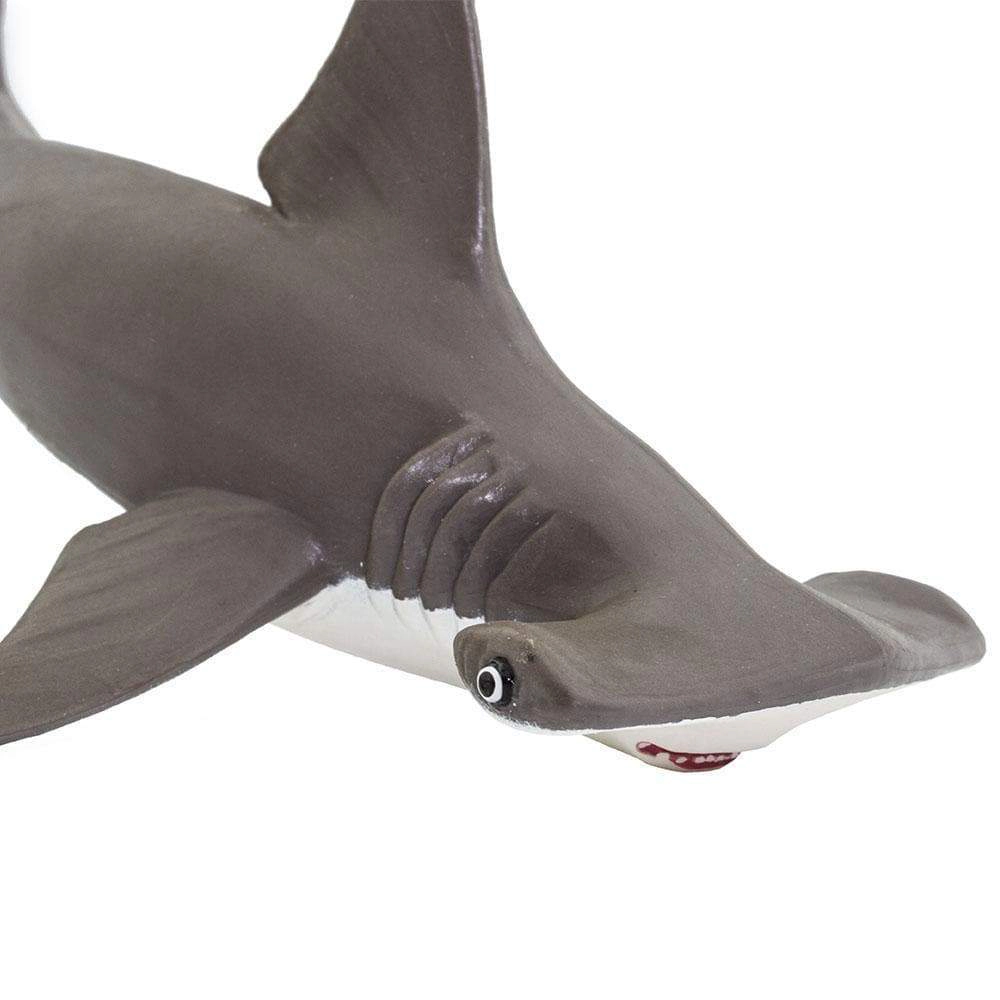 Safari Ltd. - Hammerhead Shark Baby Kids Toy Figure