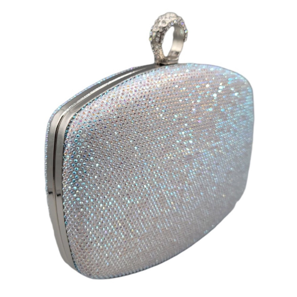 FASHNZFAB Shimmery Evening Clutch Bag