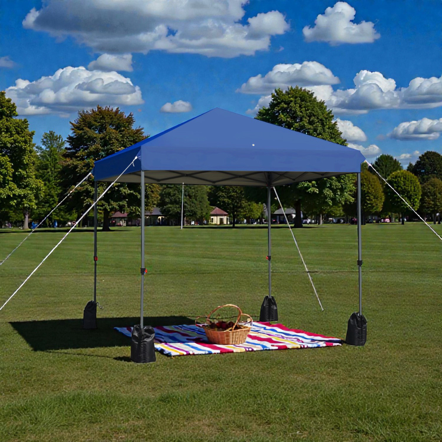 Hivvago Portable Pop-Up Canopy Tent with Sand Bags