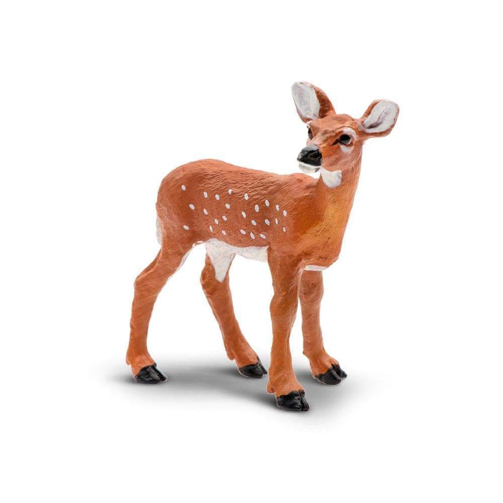 Safari Ltd. - Whitetail Fawn Kids Toy Figure