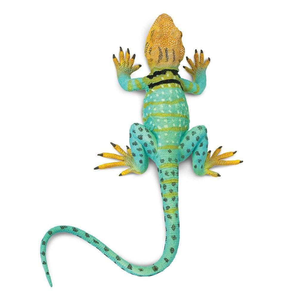 Safari Ltd. - Collared Lizard Kids Toy Figure