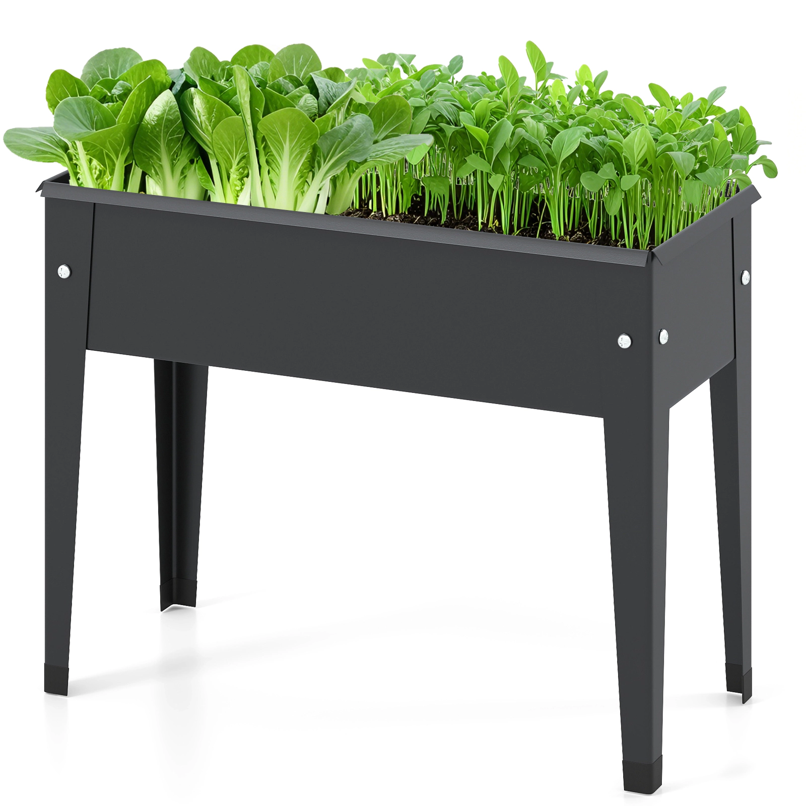 LJG Raised Garden Bed Elevated Metal Gardening Box with Legs