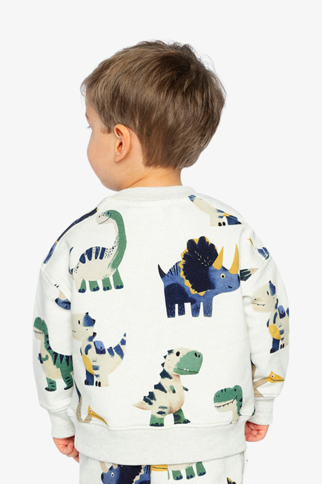 Deux par Boys Fleece Ribbed Crewneck Dinosaur Print Sweatshirt