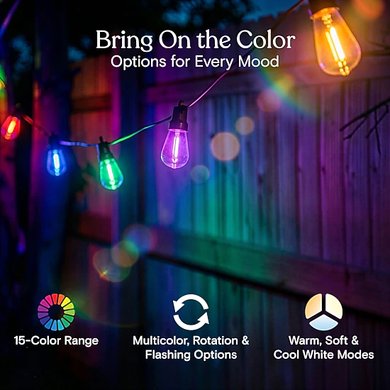 Brightech Ambience Hybrid Solar and Plug In Color Changing LED String ...