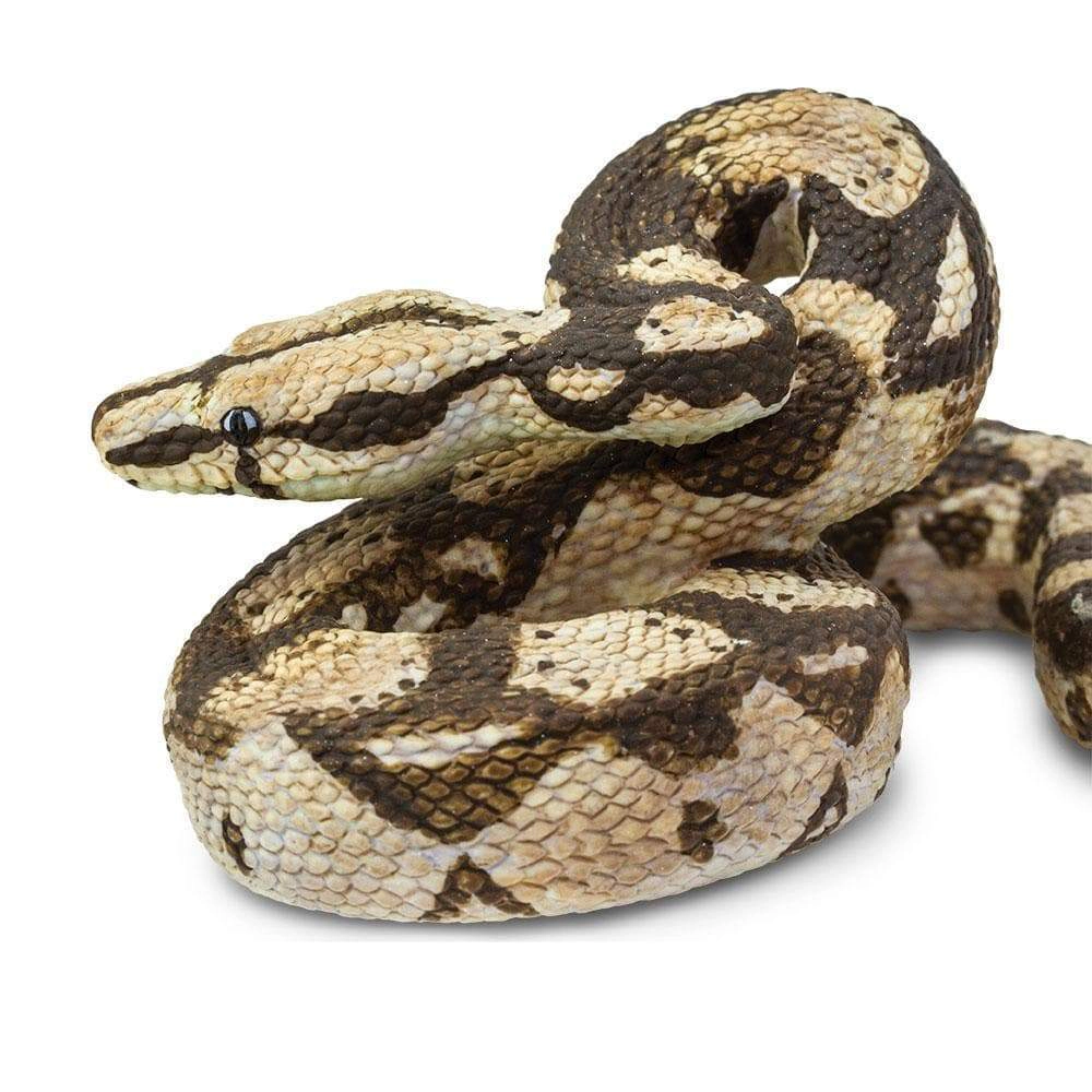 Safari Ltd. - Boa Constrictor Kids Toy Figure