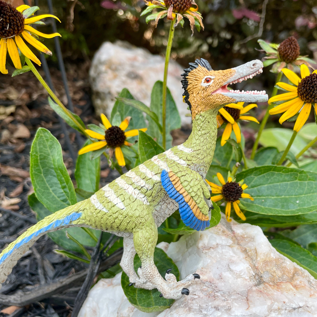Safari Ltd. - Austroraptor Kids Prehistoric/Dinosaur Toy Figure