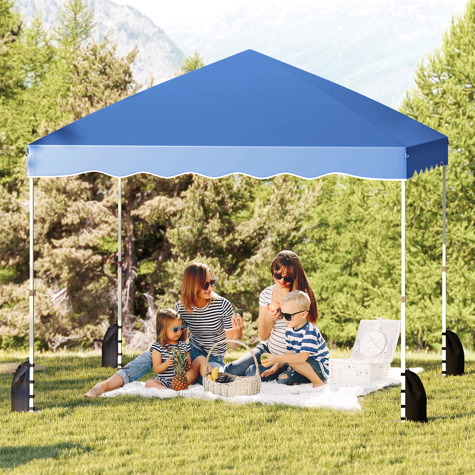 LJG Foldable 10 x Feet Pop up Canopy Tent with Wheeled Bag