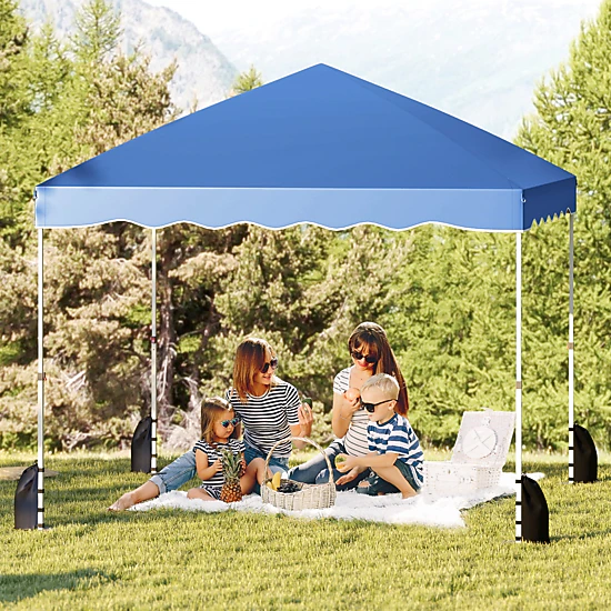 LJG Foldable 10 x 10 Feet Pop up Canopy Tent with Wheeled Bag