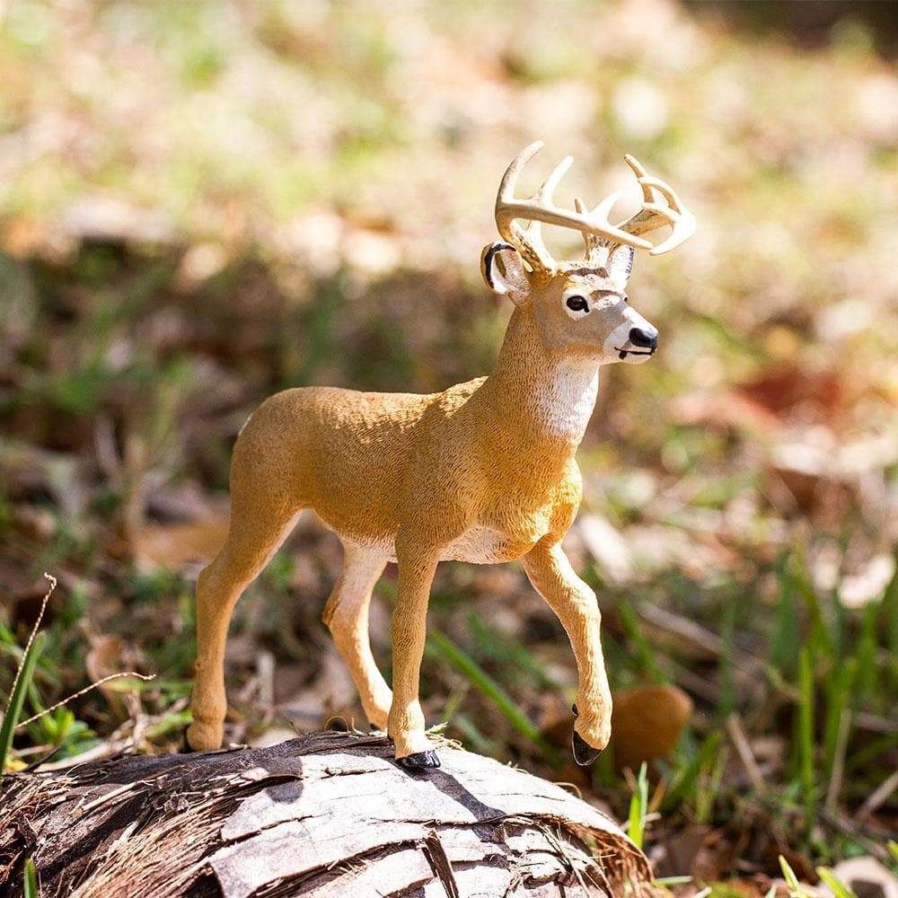 Safari Ltd. - Whitetail Deer Buck Kids Toy Figure