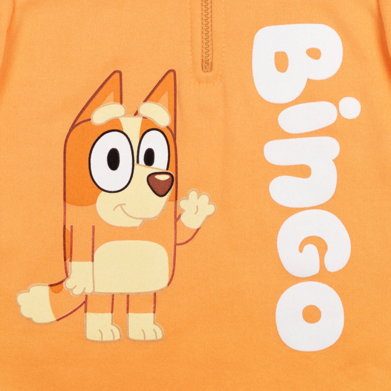 Bluey Boys' Fleece Quarter-Zip Hoodie