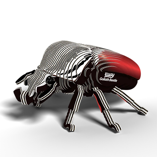 EUGY Goliath Beetle 3D Puzzle - contains 36 puzzle pieces