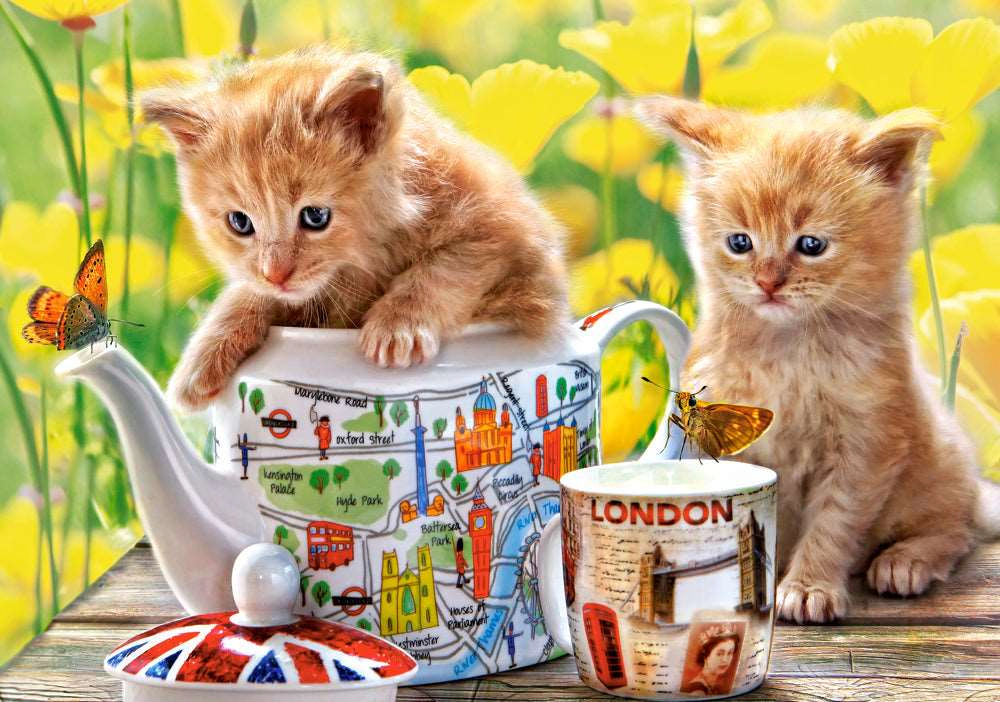 CASTORLAND 500 Piece Jigsaw Puzzle, Tea Time, Animal puzzle, Cat puzzle, Kittie puzzle, Cute cat, B-52356