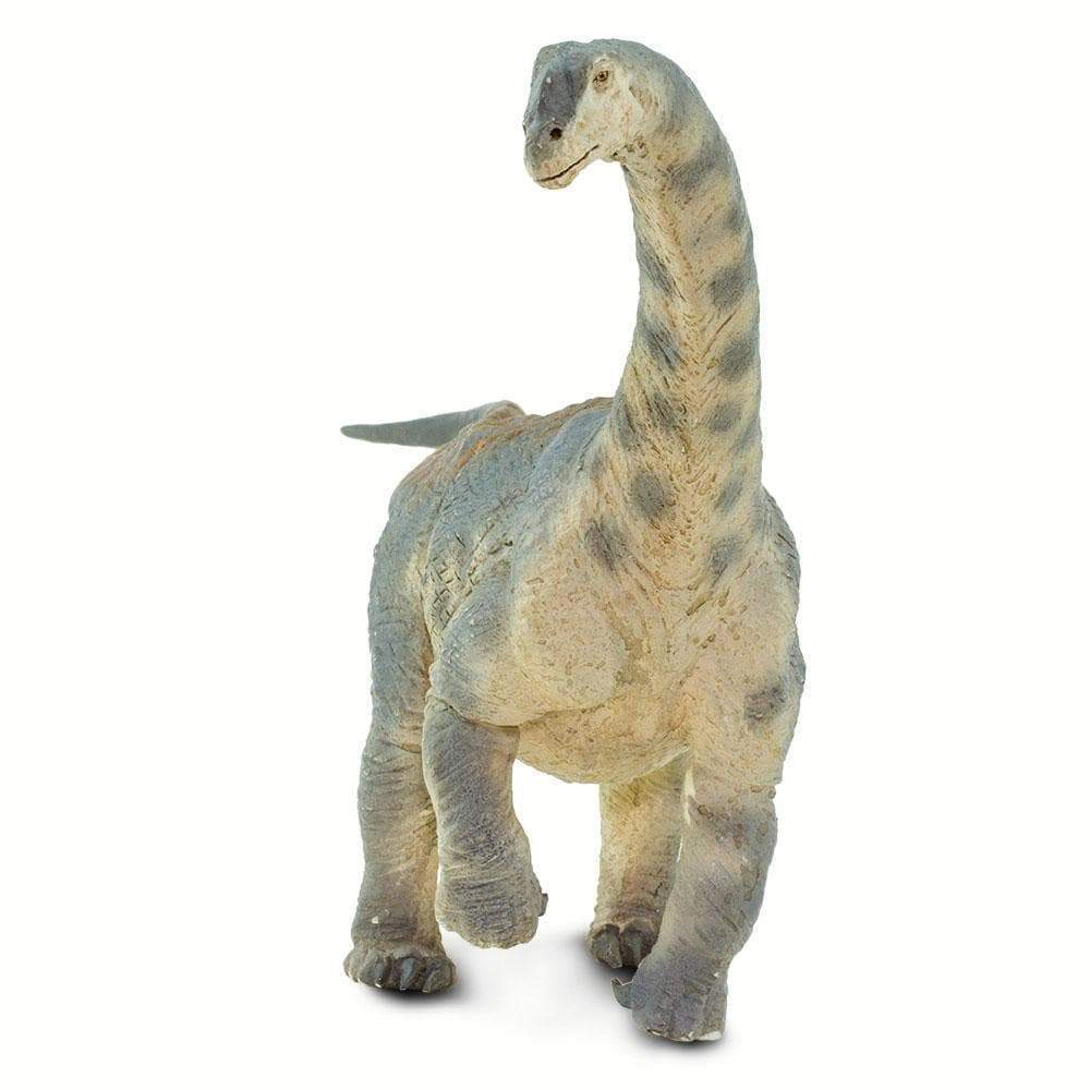 Safari Ltd. - Camarasaurus Kids Prehistoric/Dinosaur Toy Figure