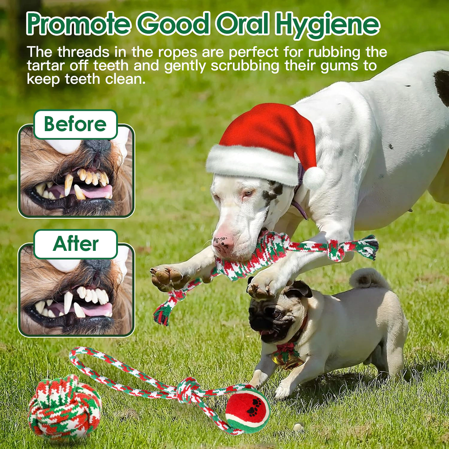 GBruno 5-Piece Christmas Dog Rope Chew Toy Set