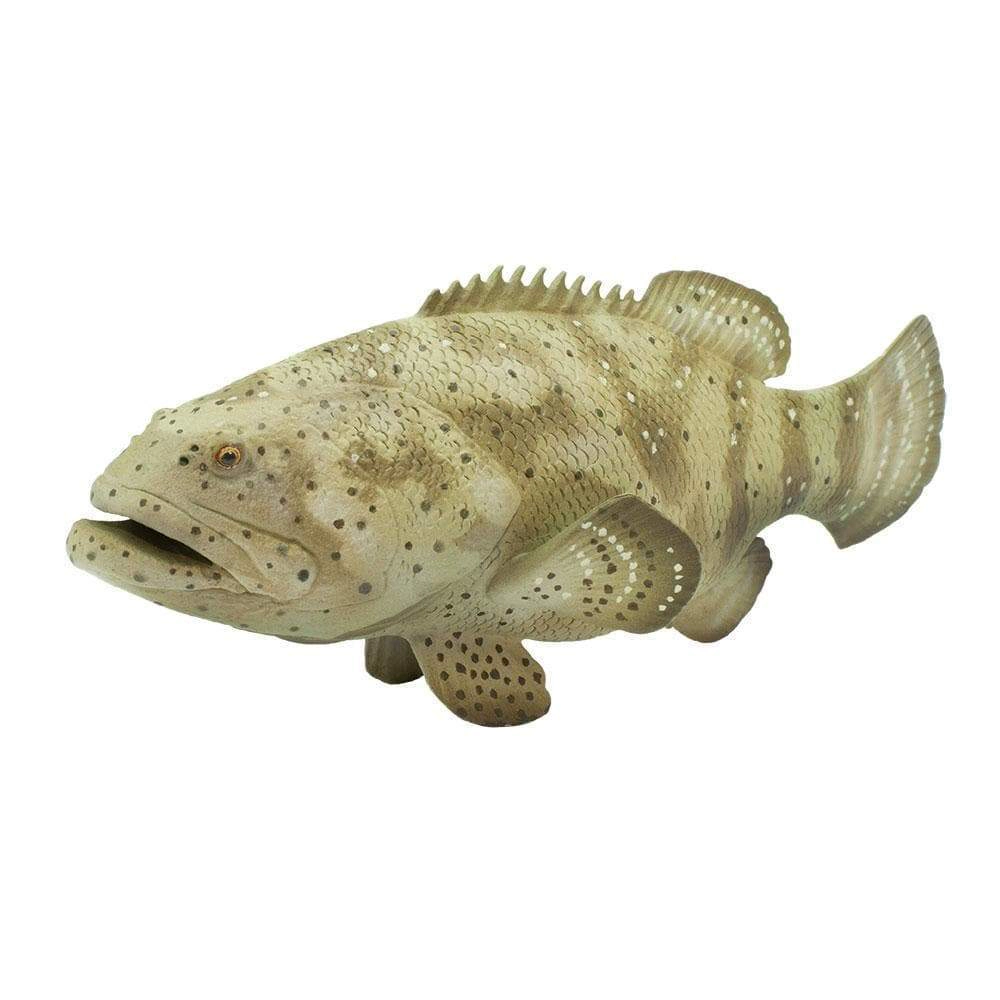 Safari Ltd. - Goliath Grouper Kids Toy Figure