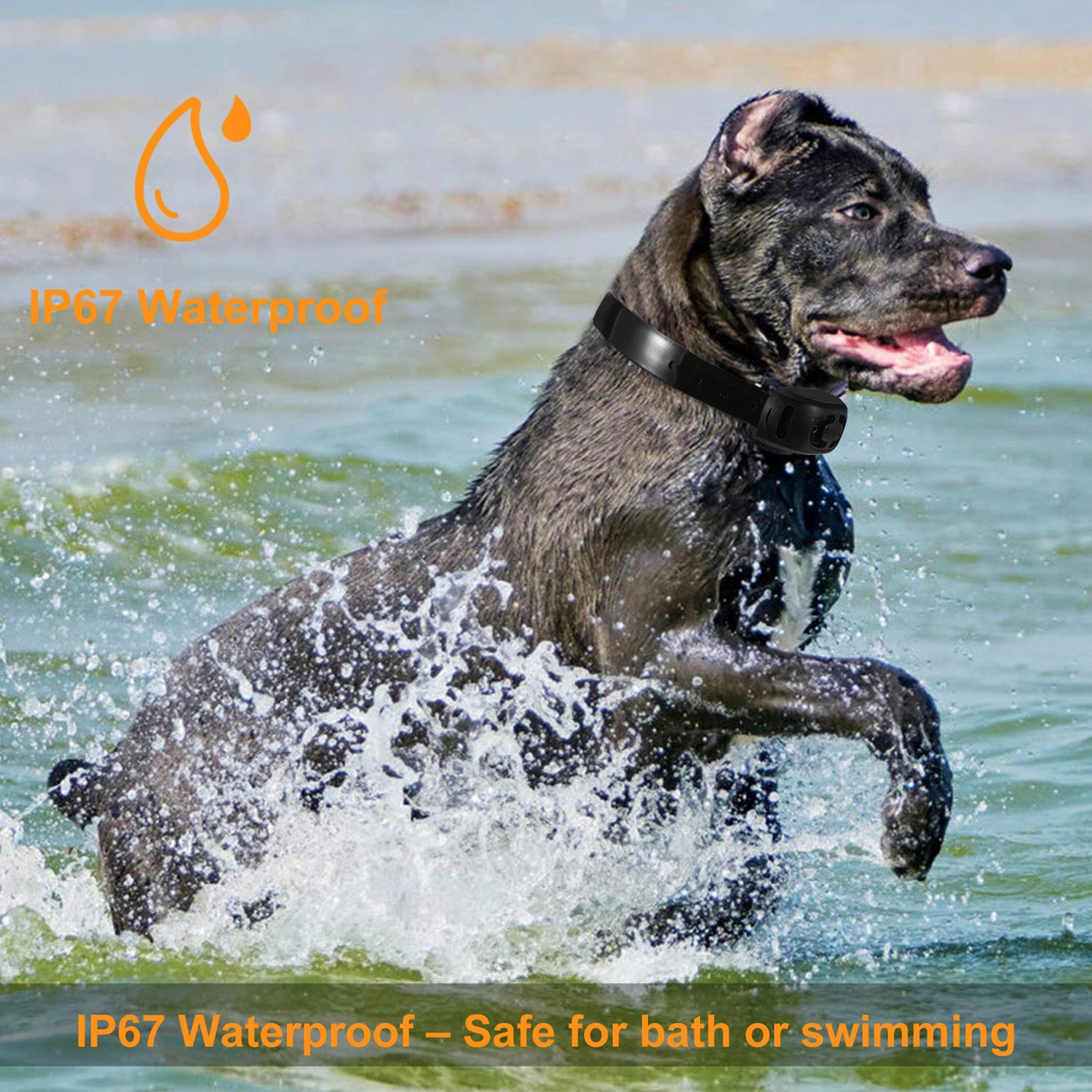 GBruno Waterproof Rechargeable Dog Training Collar