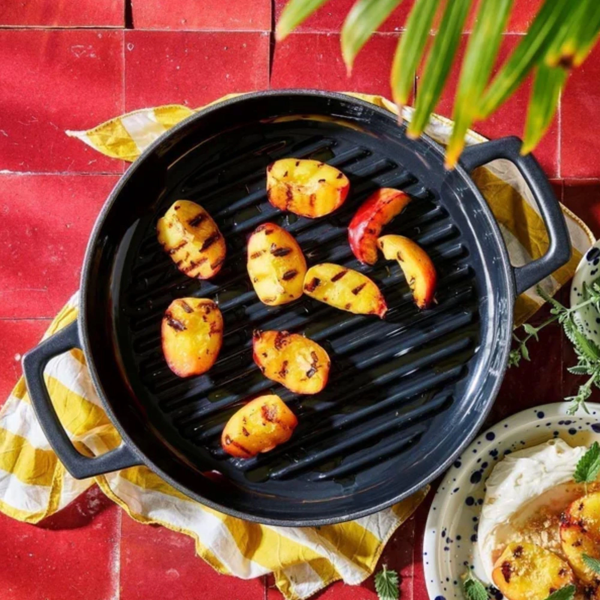 Alva Nori 11-inch Enameled Cast Iron Grill Pan, Oven and Induction Safe