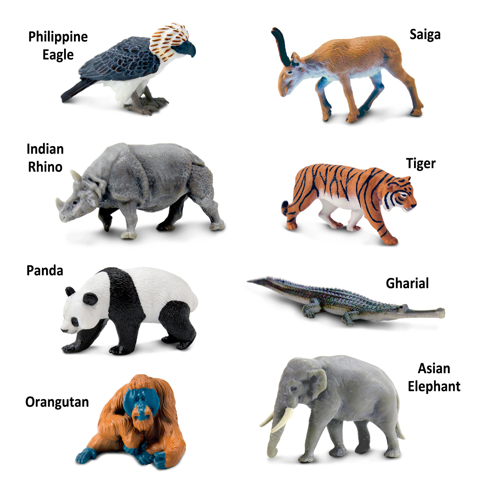 Safari Ltd. - Asian Animals TOOB - contains 8 Mini Figurines