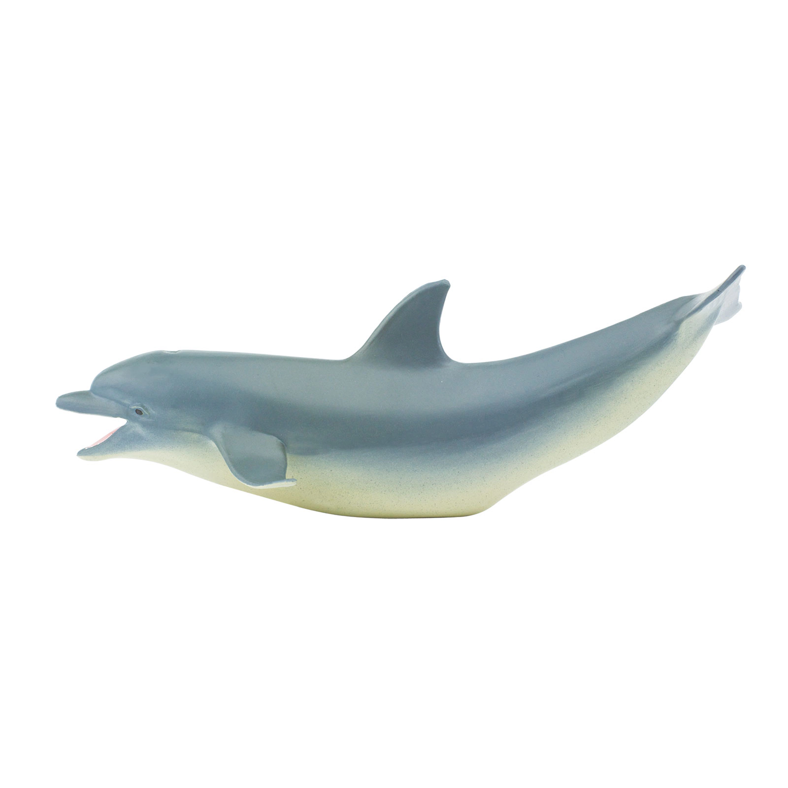 Safari Ltd. - Dolphin Kids Toy Figure