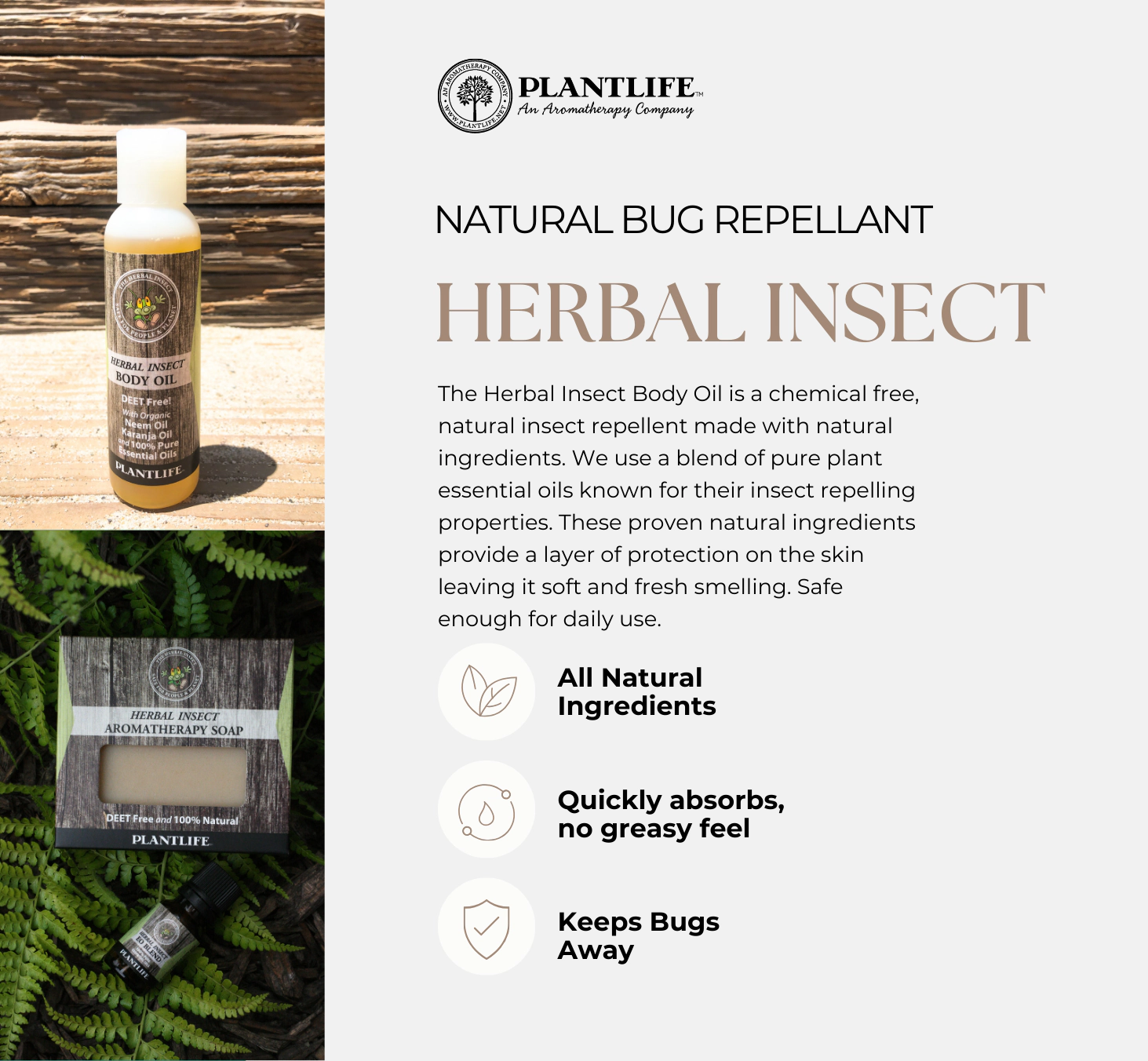 Plantlife Herbal Insect Body Oil