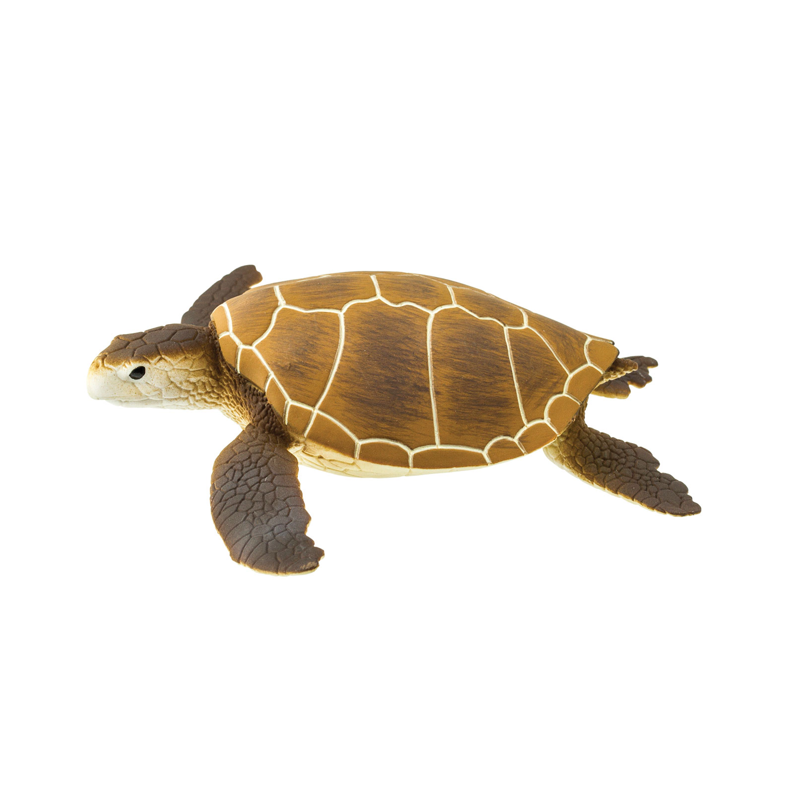 Safari Ltd. - Green Sea Turtle Kids Toy Figure
