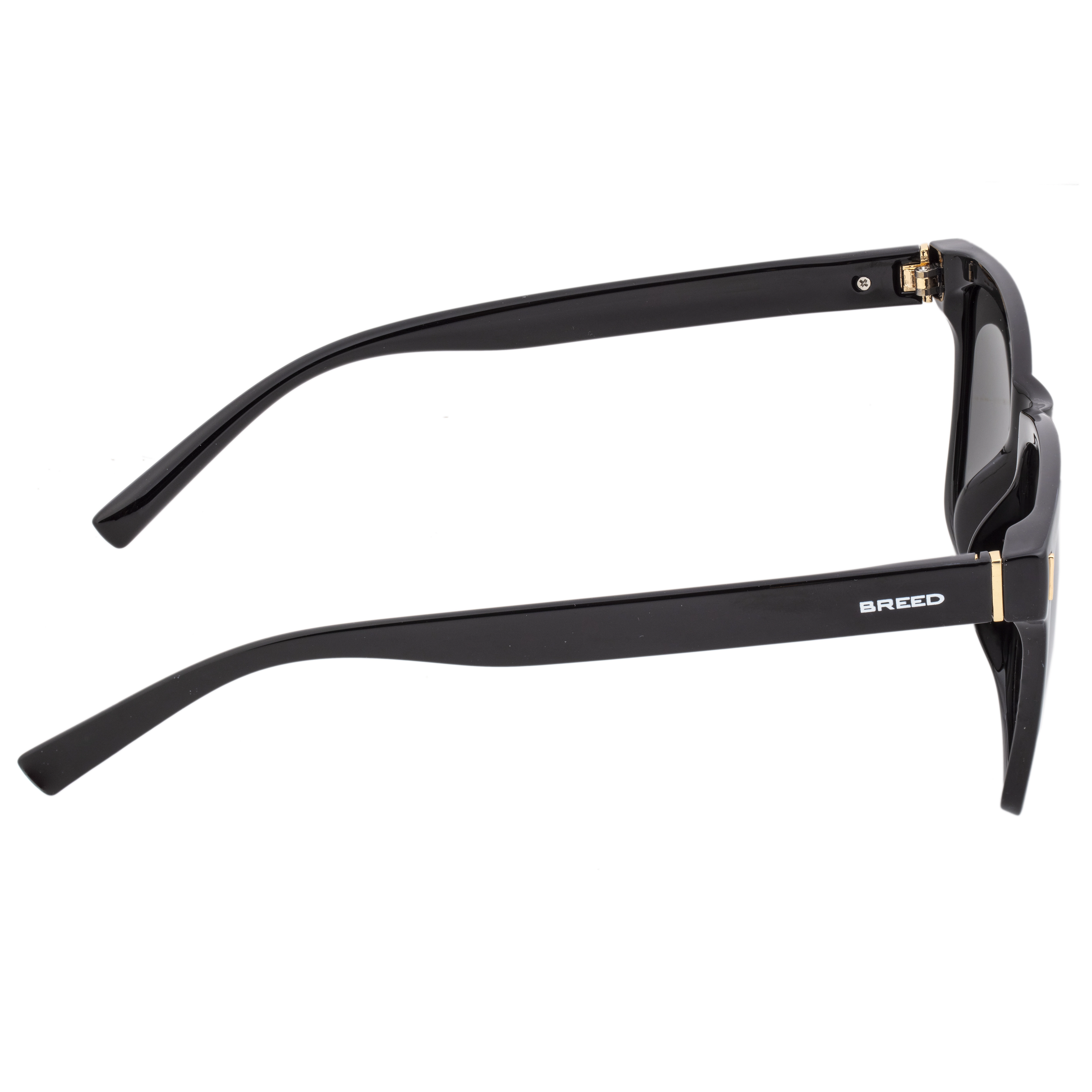 BREED Pictor Mens Polarized Sunglasses