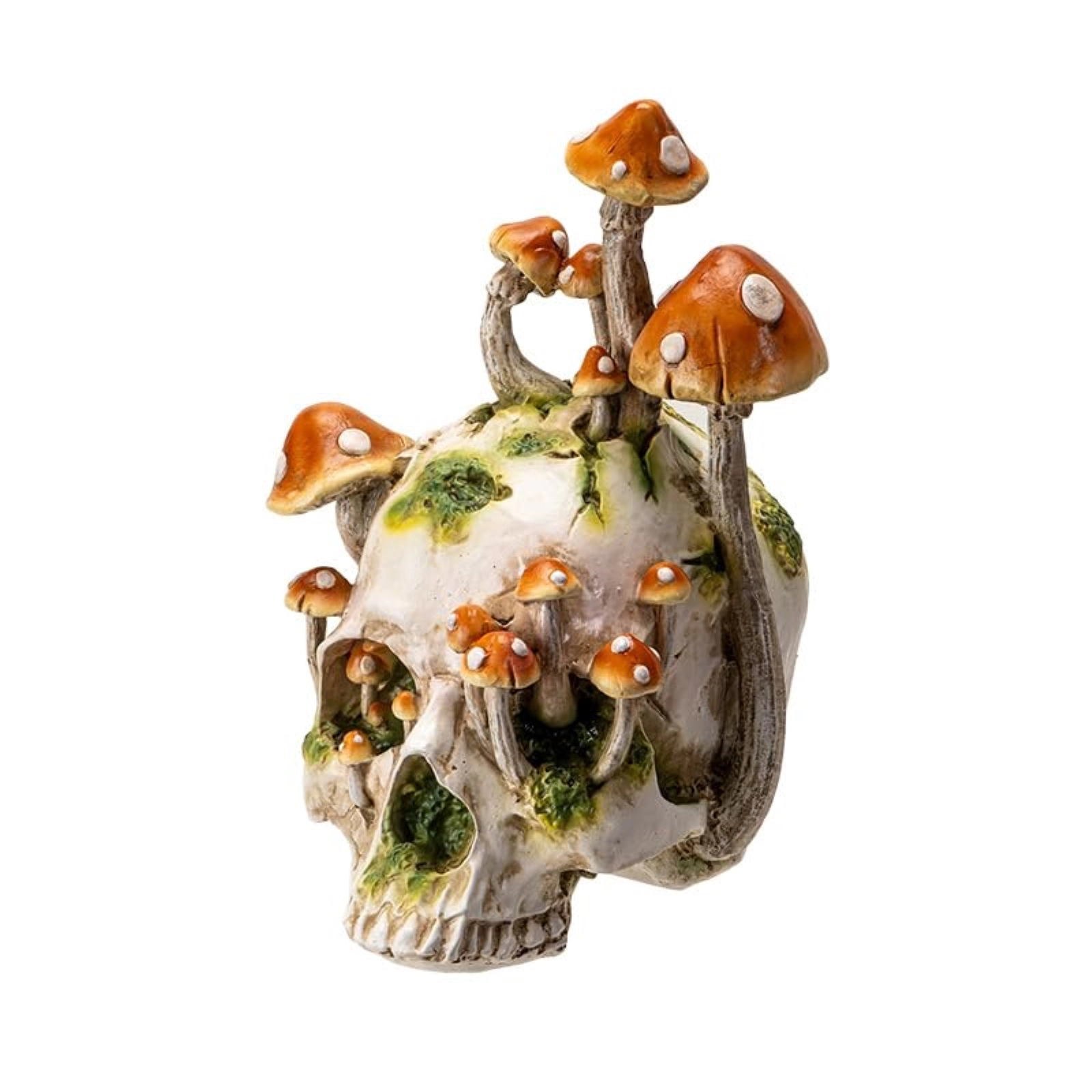 Pacific Giftware Large Human Skull with Mushrooms Growing Fungi Halloween Figurine Decoration 11.8 inch