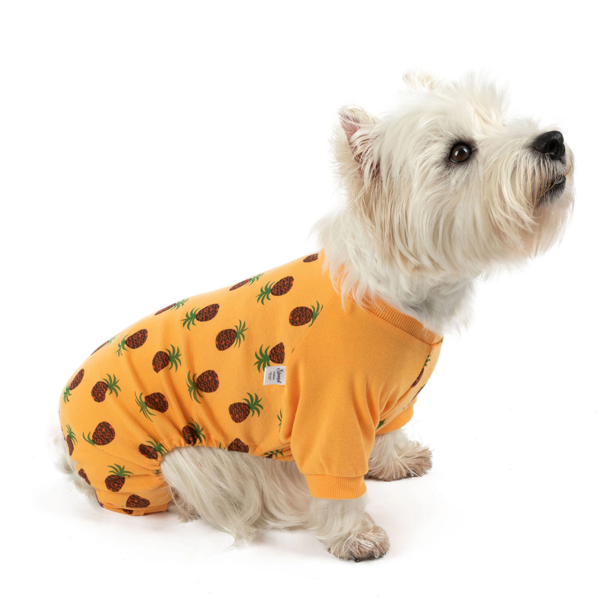 Leveret Dog Cotton Food Print Pajamas