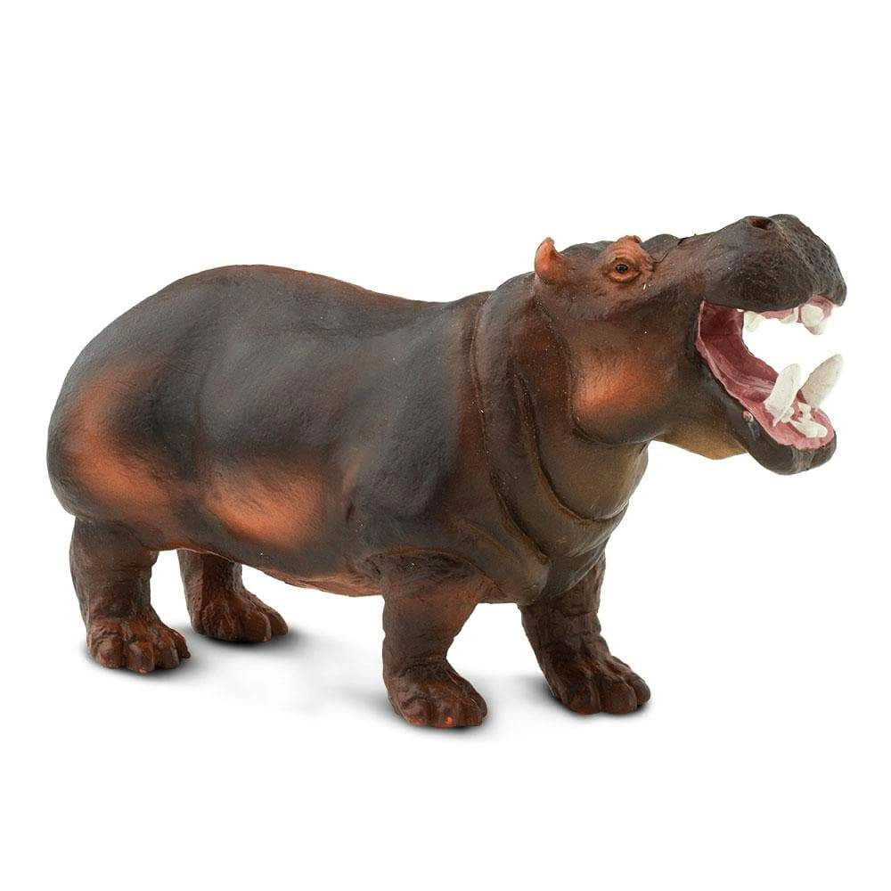 Safari Ltd. - Hippopotamus Kids Toy Figure