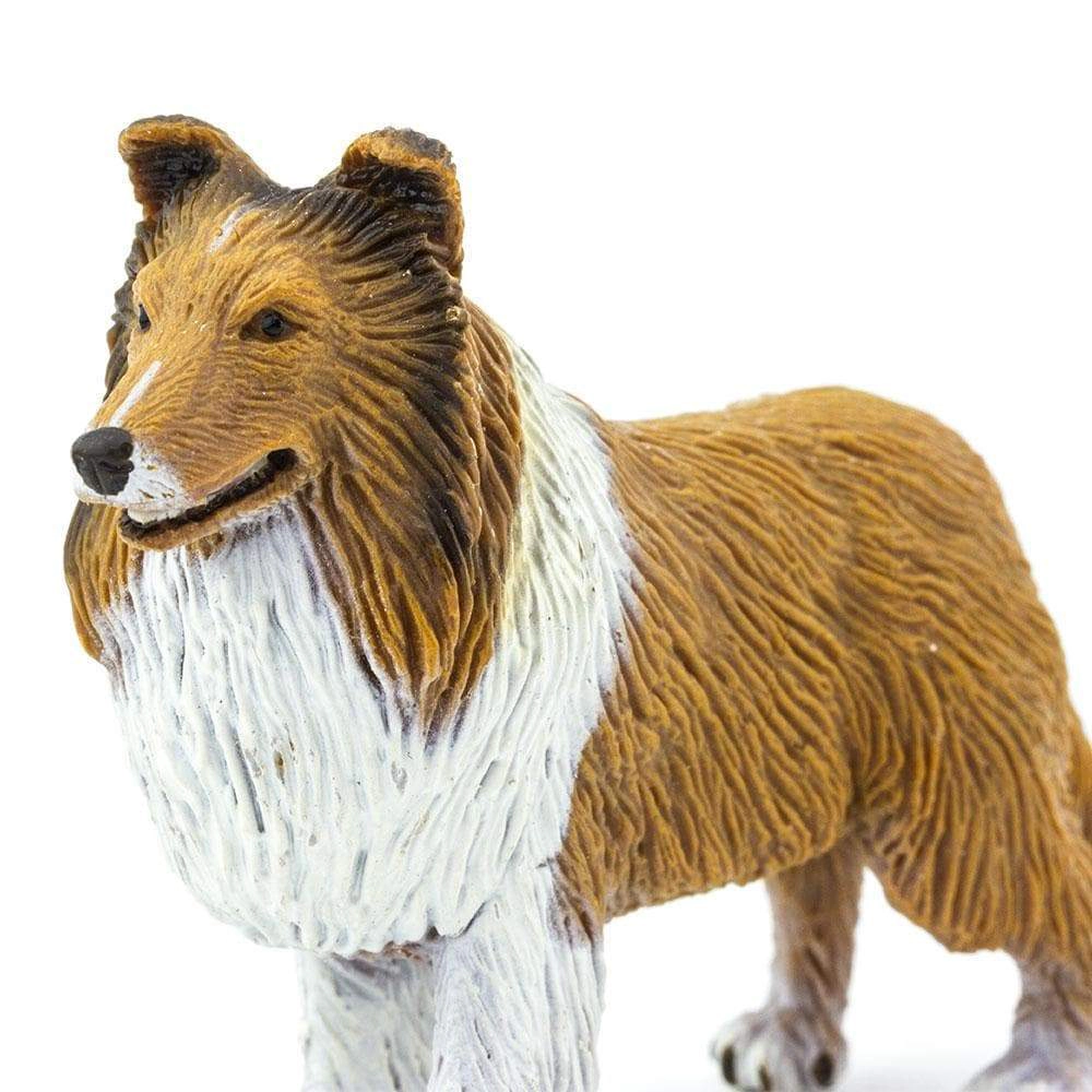 Safari Ltd. - Collie Kids Toy Figure
