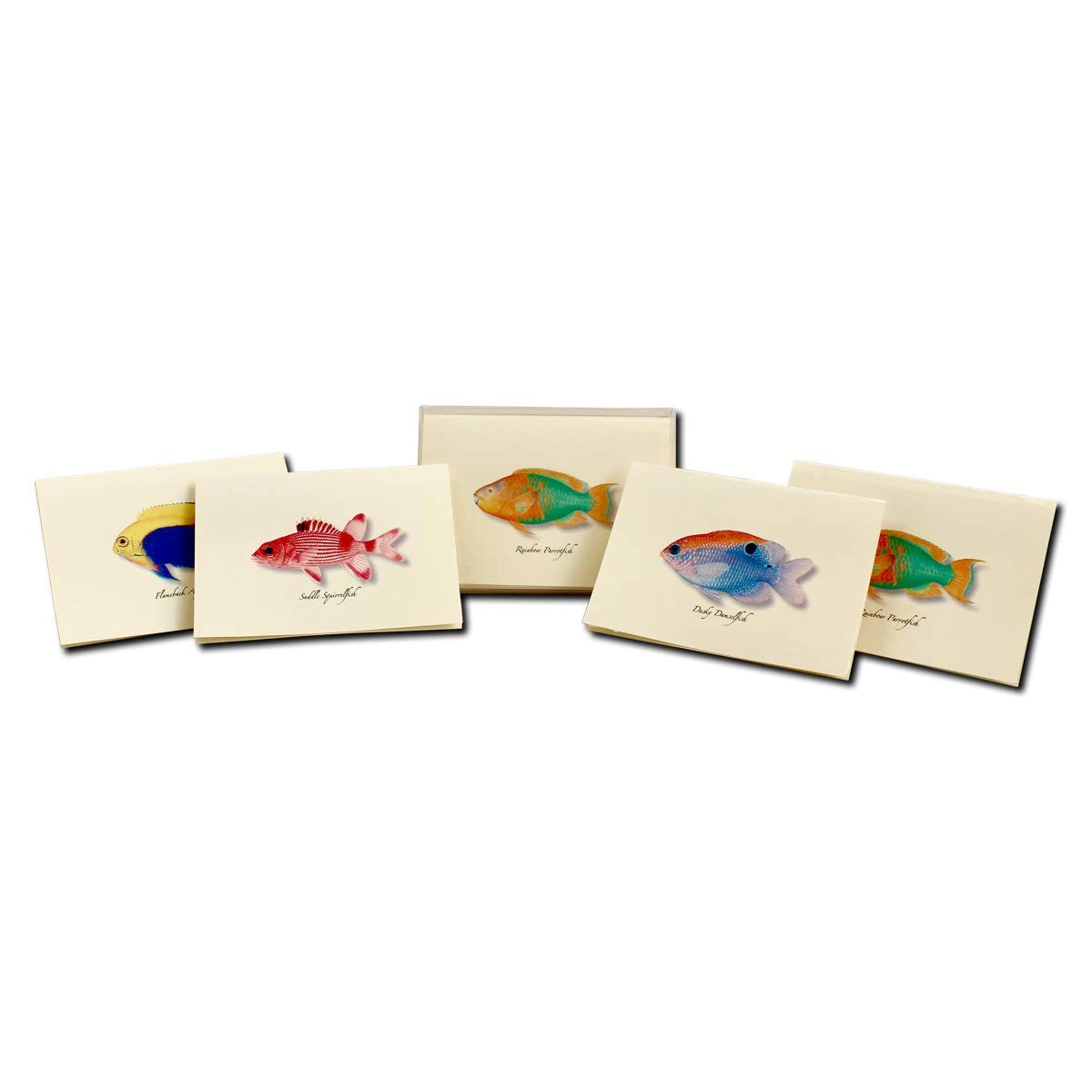 Earth Sky + Water Caribbean Fish Assortment Notecard Set - 8 Blank Cards with Envelopes