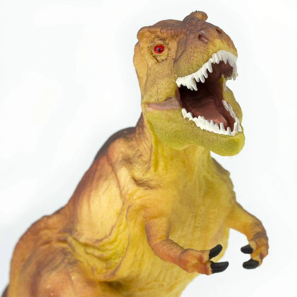 Safari Ltd. - Tyrannosaurus Rex Kids Prehistoric/Dinosaur Toy Figure