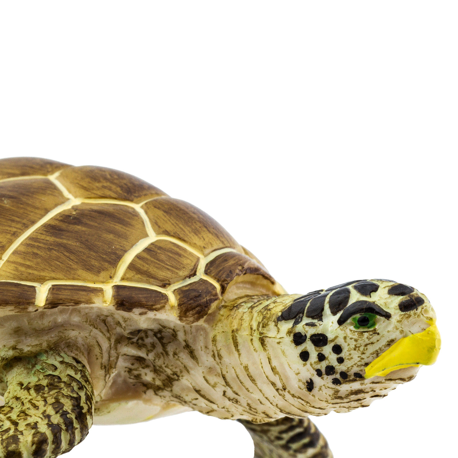 Safari Ltd. - Loggerhead Turtle Kids Toy Figure