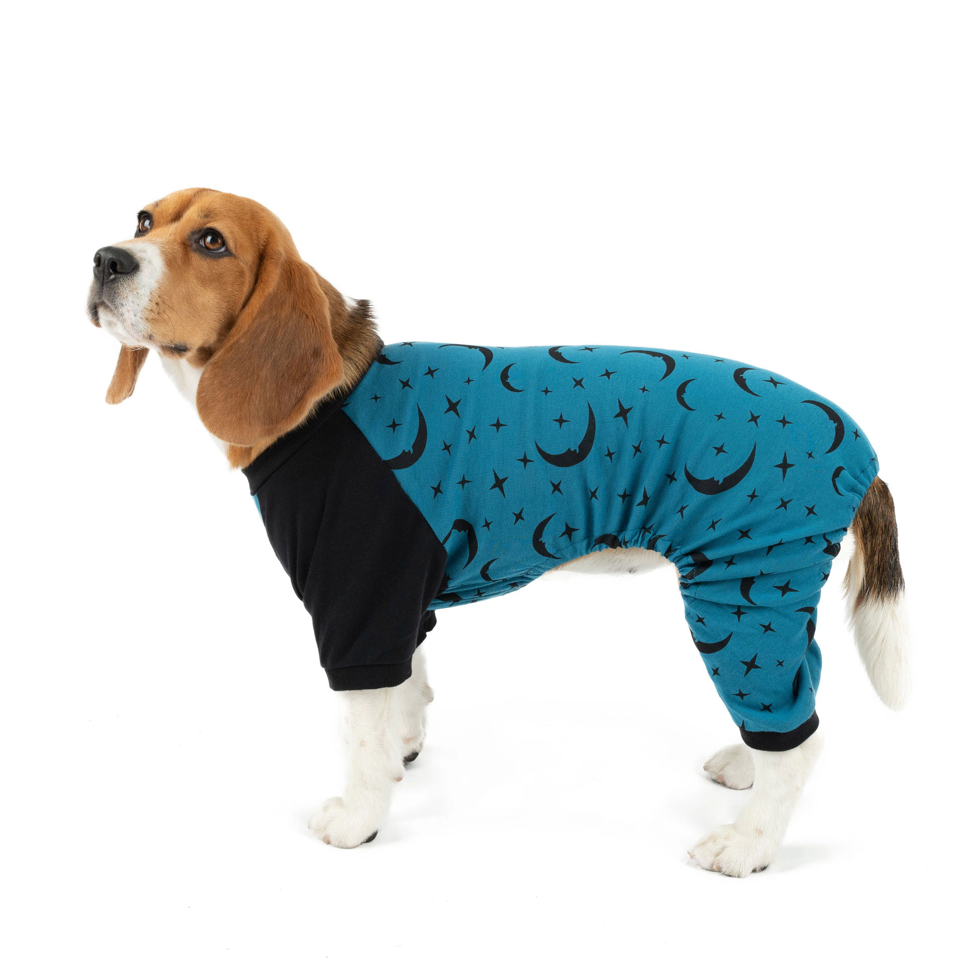 Leveret Dog Cotton Teal Moon & Stars Pajamas