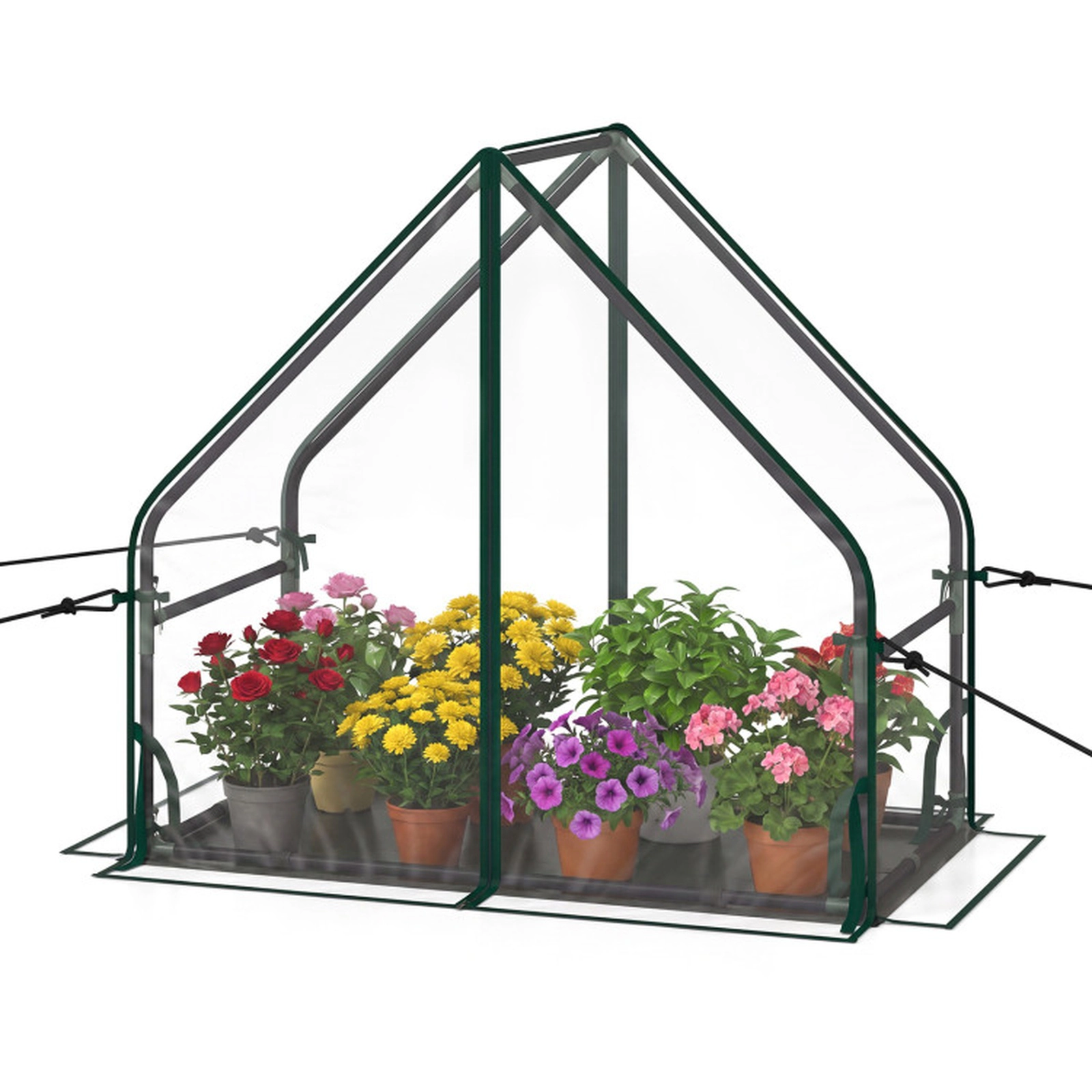 SUGIFT Mini Green House Metal Frame with Waterproof Bottom Mat and Wind Ropes 36-in Tall Clear