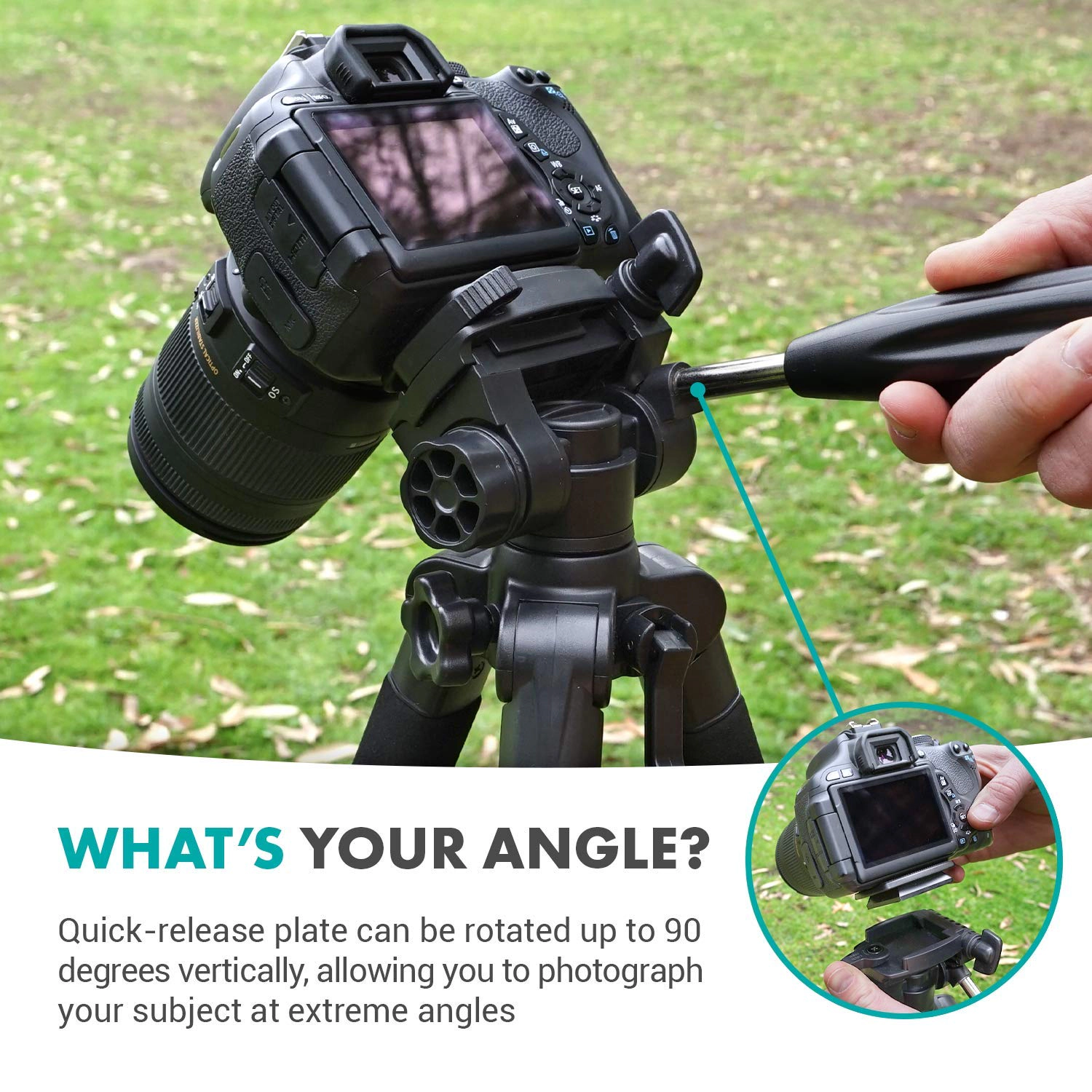 Movo MV-T5 Full-Size Aluminum Tripod with Video Pan Head