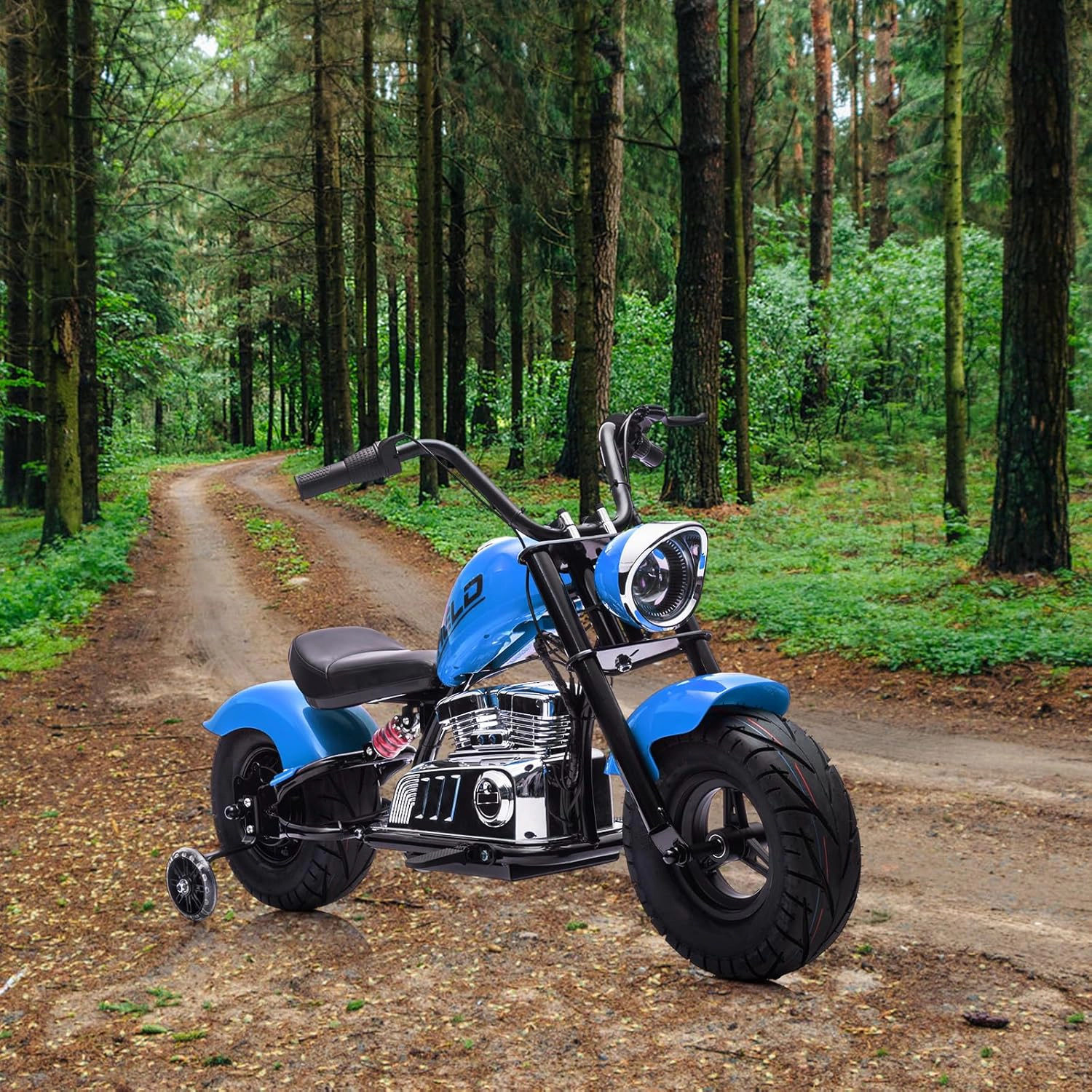 Enjyam 36V 350W Kids Electric Dirt Bike, w/Removable Training Wheels, 16.5MPH Max, LED Lights,Music, Leather Seat