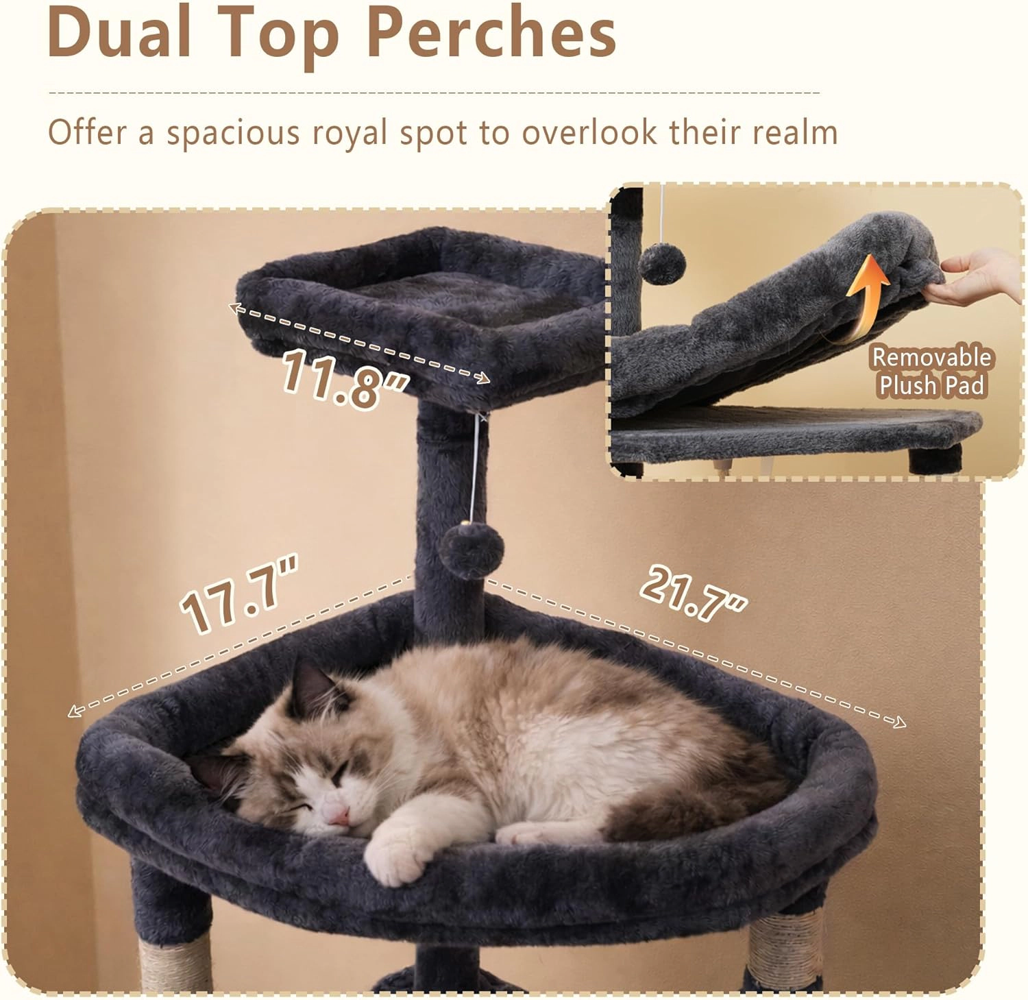 Heybly cat tree with a wide, heavy-duty base